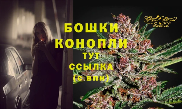 прущий лед Богородск