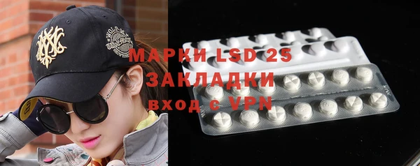 прущие грибы Богданович
