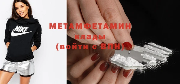 прущие грибы Богданович
