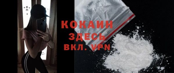прущие грибы Богданович