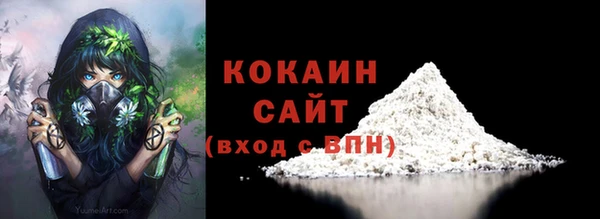 прущие грибы Богданович