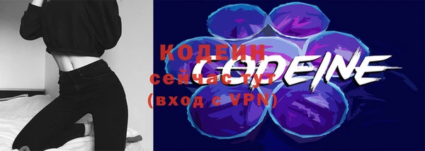 прущий лед Богородск