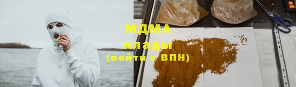 прущие грибы Богданович