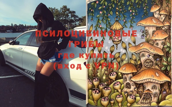 прущий лед Богородск