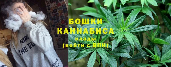 прущие грибы Богданович