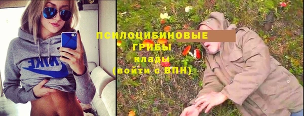 прущие грибы Богданович