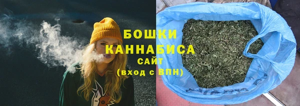 дурь Богородицк