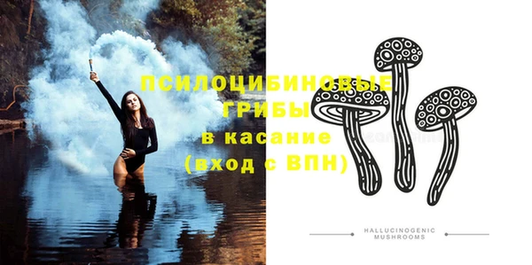 дурь Богородицк