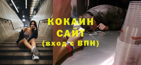 прущие грибы Богданович