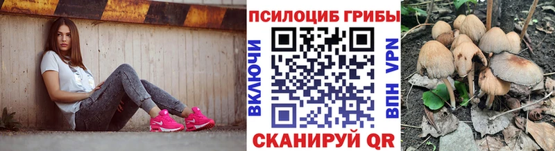 Купить закладки  Сосногорск  Галлюциногенные грибы мицелий 